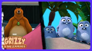 Download lagu Crazy Yacht Island Hunt! 🛥️ - Grizzy and the Lemmings | Kids Cartoons | WildBrain Circus