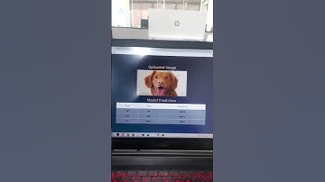 Image Recognition Web App #shorts #electricedison #ai #ml #machinelearning #artificialintelligence