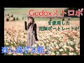 Godoxストロボが楽しすぎた！！ライティング撮影方法movie