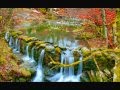 MUSICA RELAJANTE SONIDOS DE LA NATURALEZA CON FLAUTA JAPONESA