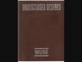 Muse  undisclosed desires  acoustic instrumental