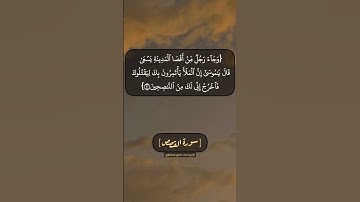 سورة القصص الآية ٢٠ الى ٢٢ بصوت الشيخ محمد صديق المنشاوي