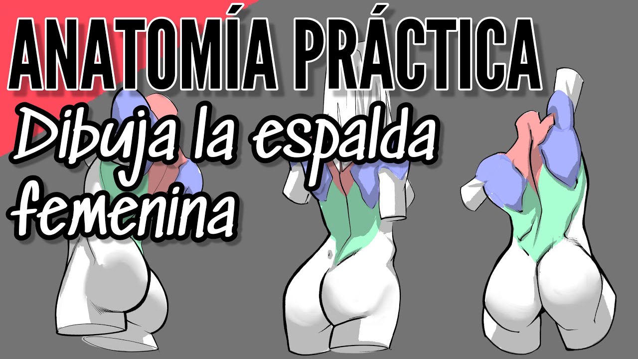 Anatomía femenina / cómo dibujar la espalda femenina / tutorial de dibujo 
