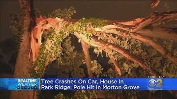 Cleanup Underway After Widespread Damage From Storms Overnight