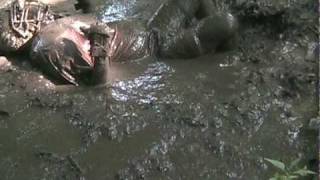 Highlights From How To Break In Your Football Uniform - Part 3