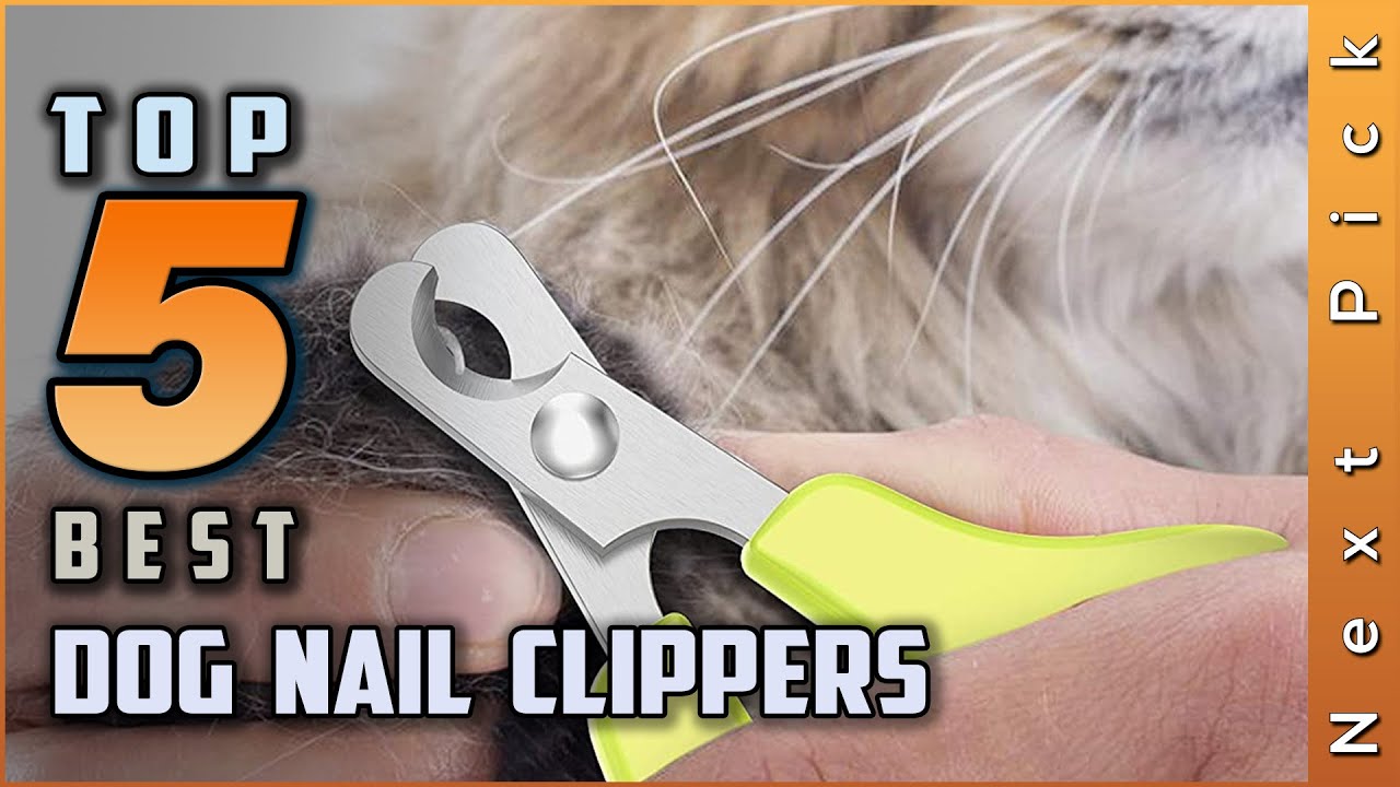 Top 5 Best Dog Nail Clippers [2023] for Happy Paws - YouTube