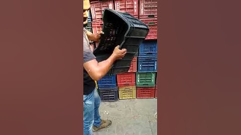 Fruits Plastic Crates at Rs 120 /piece