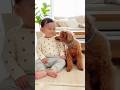 【爆笑】赤ちゃんのおならにトイプードルがまさかの反応🤣👶🐶 Baby Farts… Dog FREEZES in Shock
