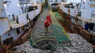 Big Net fishing, Trawler fishing in the Sea  Factory Processing on a frozen fishing boat