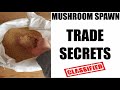 Mushroom Spawn Trade Secrets YOU SHOULD KNOW