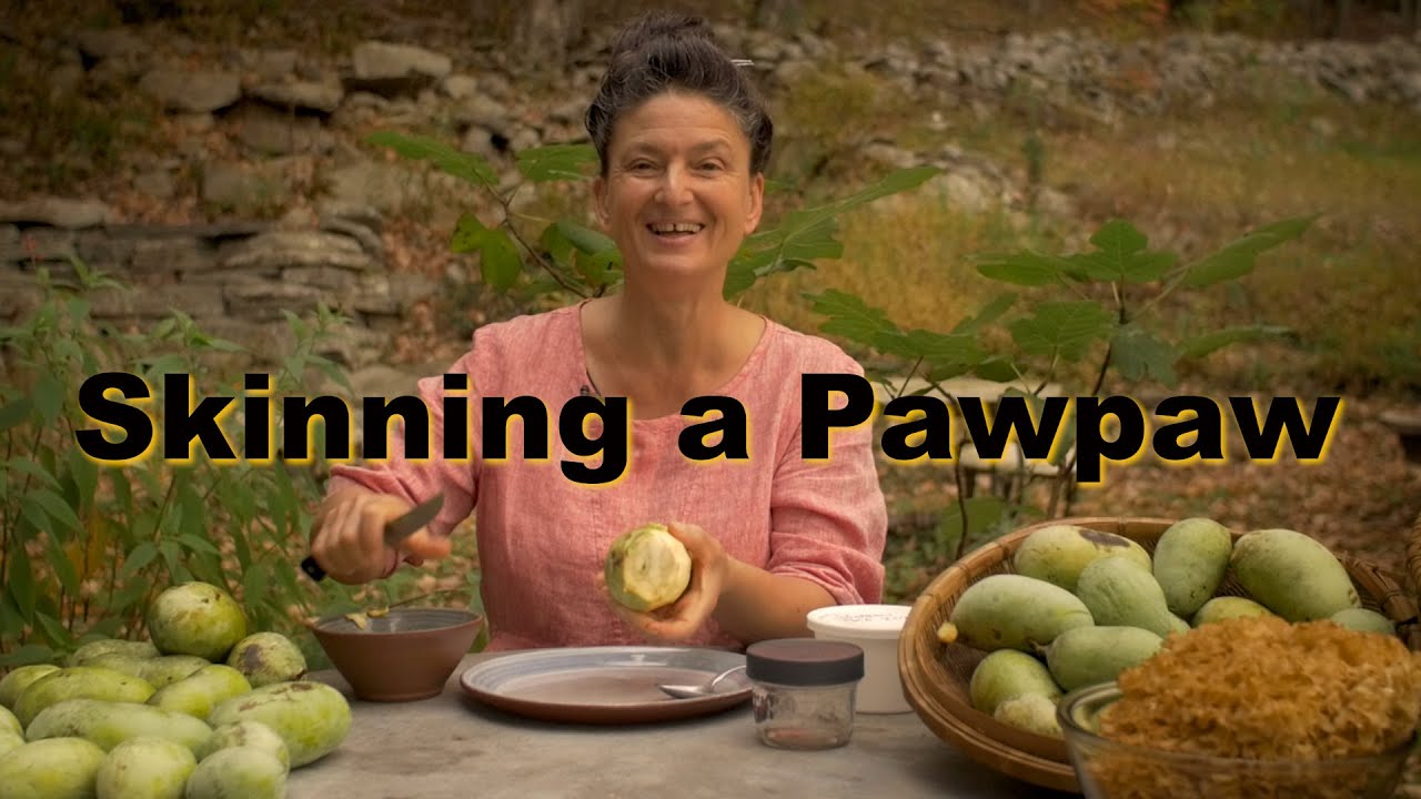 How To Skin a PAWPAW: What To Do with This Luscious Native Wild Fruit!