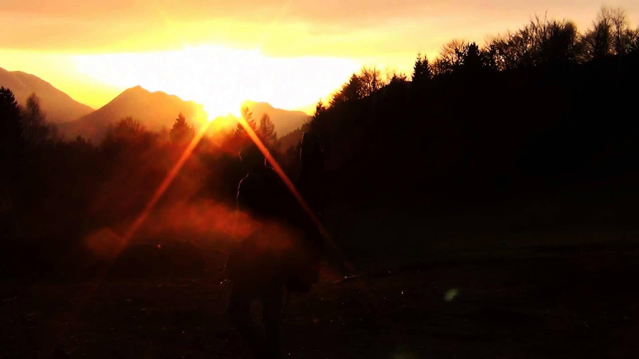 Wolfgang Fischer - Sucht