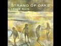 New Paris by Strand of Oaks