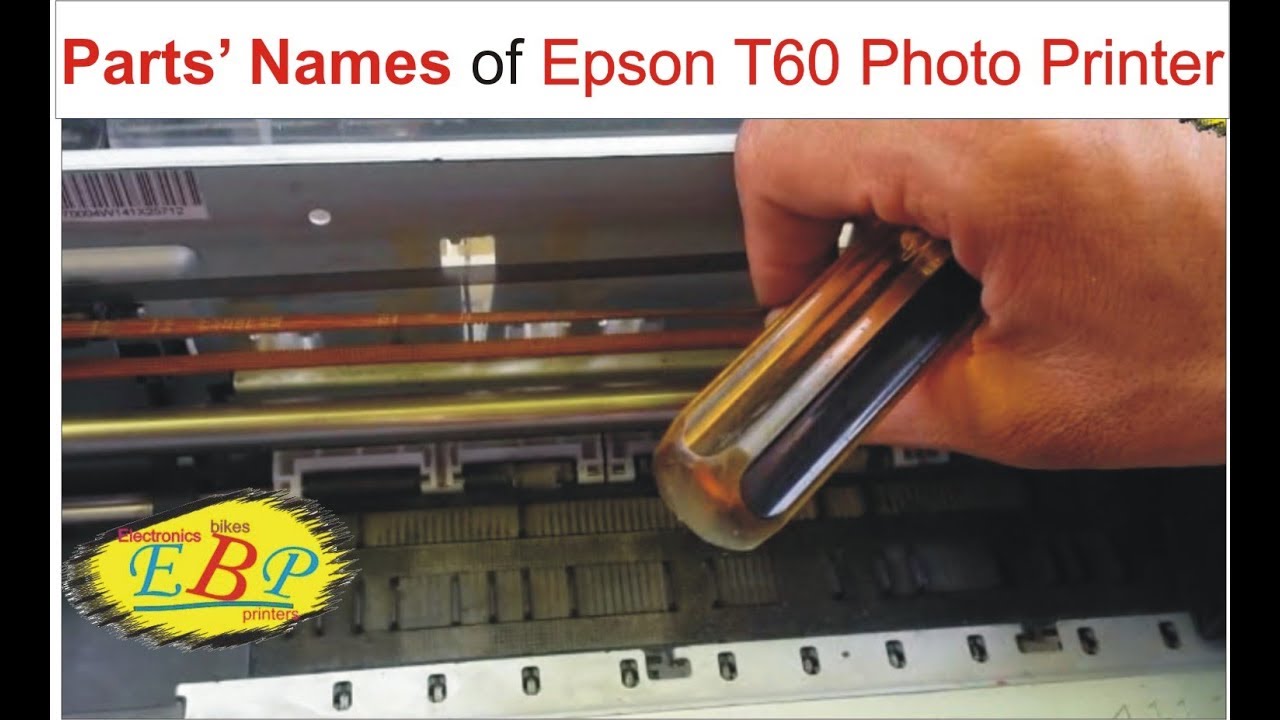Epson Printer All Parts Name | Reviewmotors.co