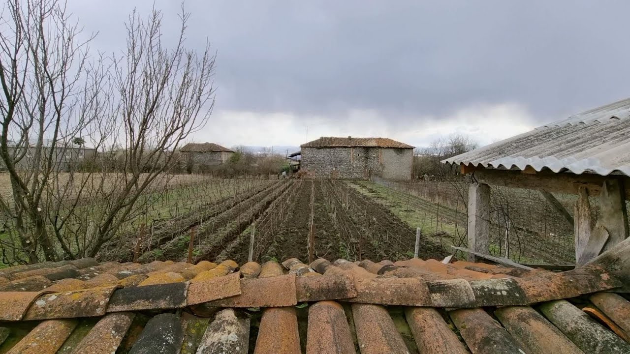 ვასო კორნიენკო - ეთნოფორი 15.04.2022
