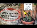 🤣100 САМЫХ УПОРОТЫХ ОБЪЯВЛЕНИЙ - Били ЖОПОЙ о САМОЛЕТ xD