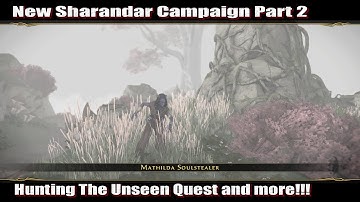 Neverwinter 2023 MMO Chronicles New Sharandar Campaign Part 2 Hunting The Unseen