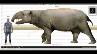 Hilarcotherium Sounds