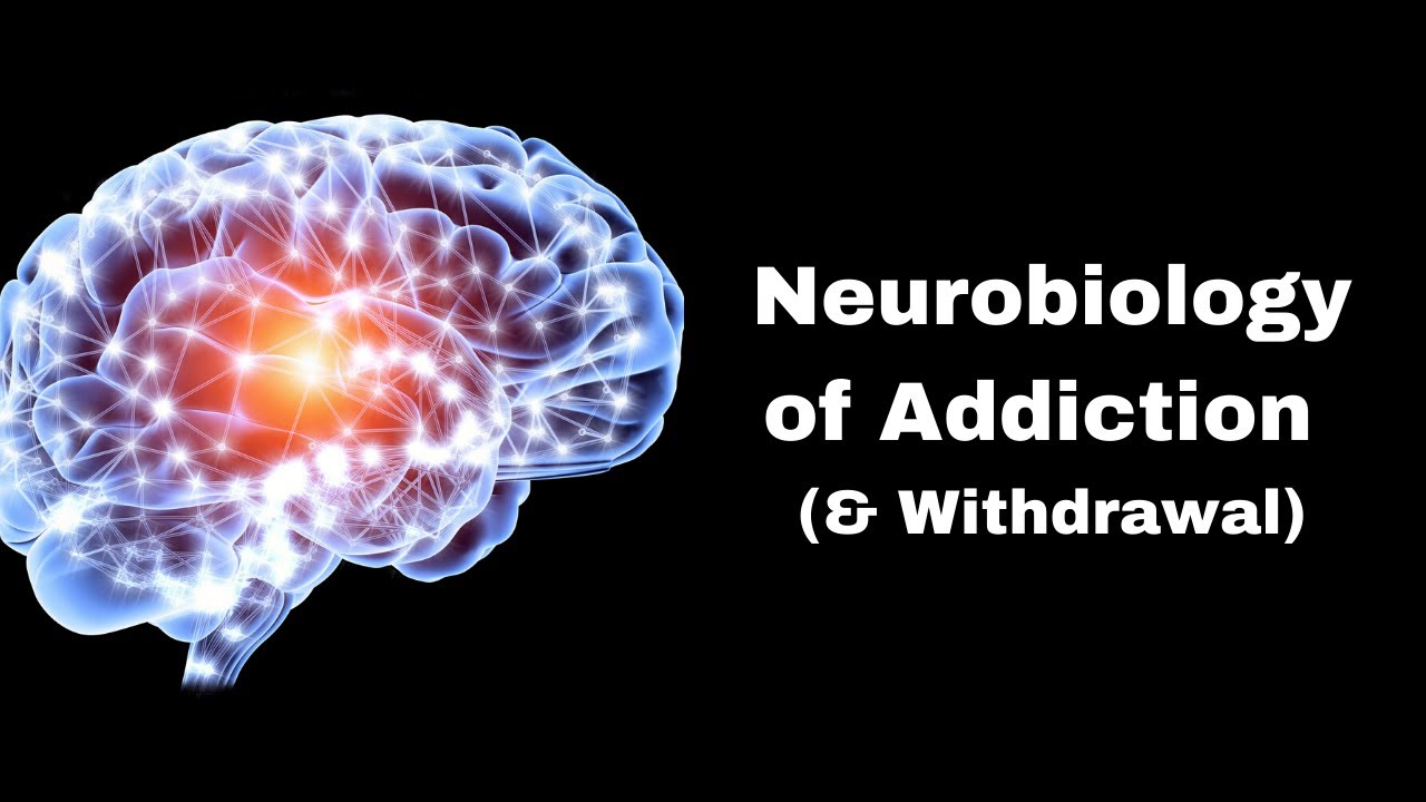 phd addiction neuroscience online