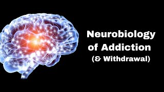 Neurobiology of Addiction | Quickstart Guide