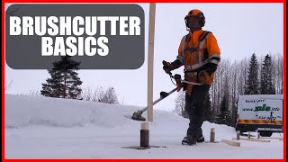 Learn To Use a Brush Cutter - Control Falling Direction by Finnish Lumberjack 4,645 views 2 months ago 3 minutes, 49 seconds
