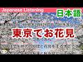 Simple Japanese Listening: Cherry blossom viewing at Ueno Park in Tokyo 【簡単なリスニング用の日本語】東京・上野公園でのお花見