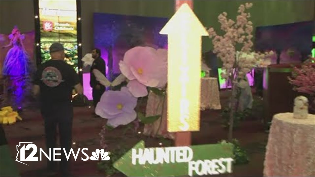 Advanced sneak peek of new 'Wicked' movie at Harkins