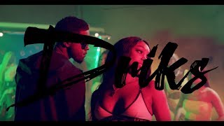 Video thumbnail of "Driks - Premier pas (Clip Officiel)"