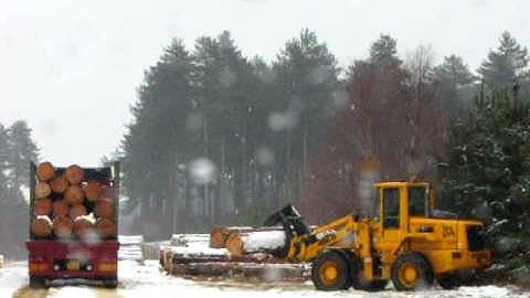 JCB front end loader with log grab loading timber truck