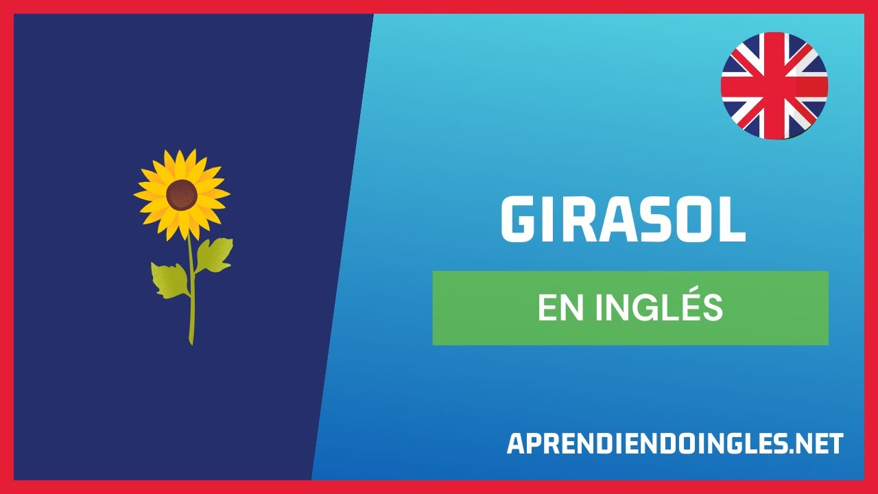 CÓMO se dice GIRASOL en INGLÉS 2023 🚀 APRENDE A ESCRIBIR SUNFLOWER