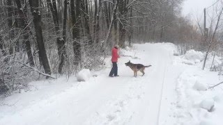 Пассивная и Активная прогулка... Пассивная и Активная прогулка...