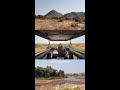 Raw Beauty Wildlife In Samburu ЁЯРШ Soroi Safari Experience Raw Beauty Wildlife In Samburu ЁЯРШ Soroi Safari Experience