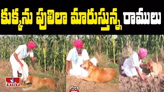 కుక్కను పులిలా మారుస్తున్న రాములు | Dog Into A Tiger | Jordar News | hmtv