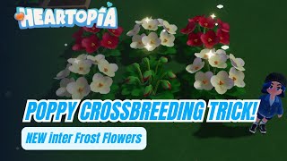 THIS TRICK ALWAYS WORKS - How to crossbreed poppy flowers easily in Heartopia