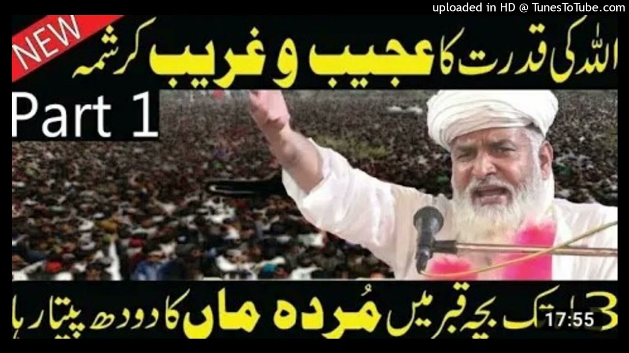 Allah ki Qudrat ka Waqiya by Qari Muhammad Ramzan Saeedi