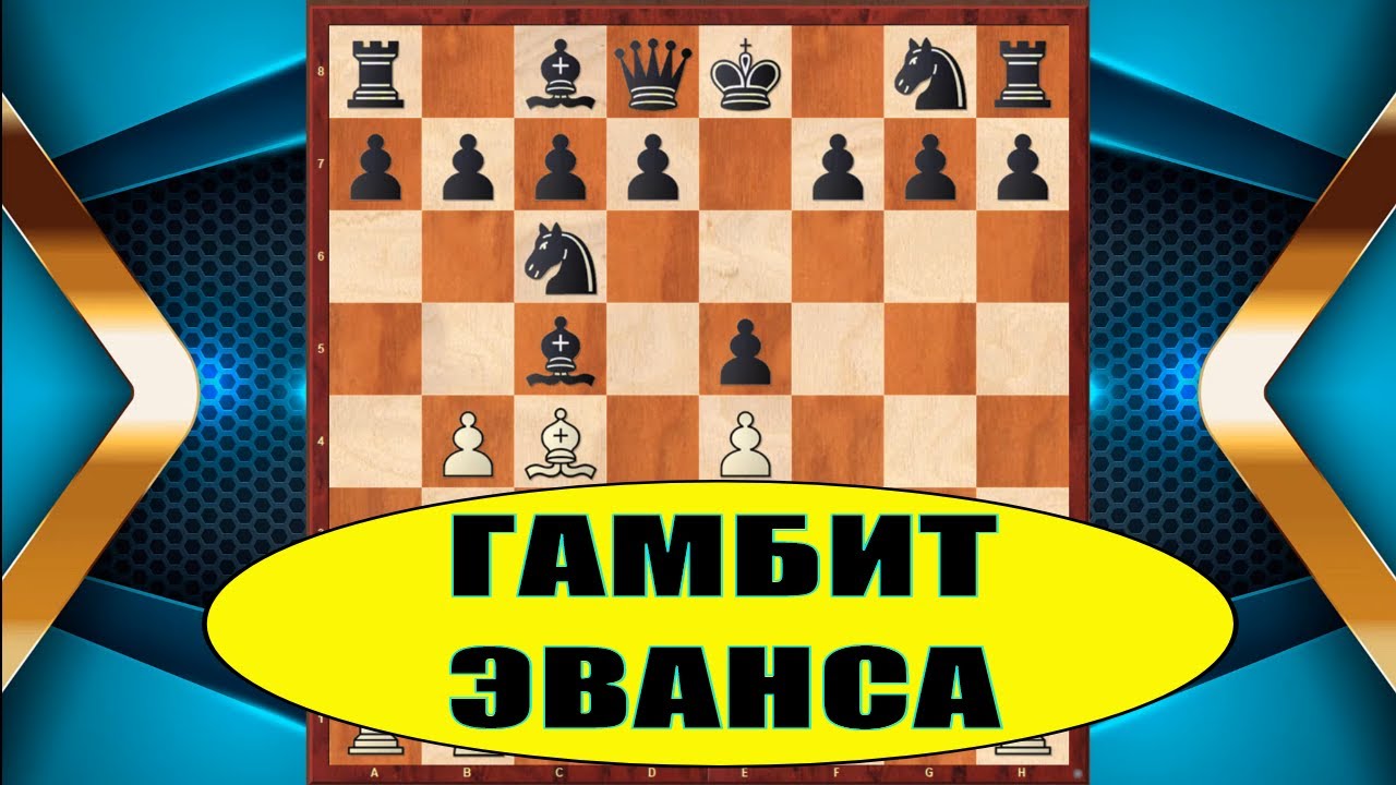 Партия гамбит. Партия Эванса итальянская гамбит. Гамбит Эванса в шахматах. Итальянская партия дебют. Гамбит Эванса шахматы за белых.