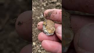 Field Walking Freaks finds a lovely little flint scraper #history #prehistoric #stoneage #asmr