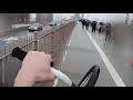 This Cyclist Took Back the Bike Lane on the Brooklyn Bridge