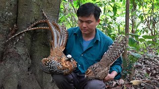 Release the pair of precious birds back to the natural forest. Green forest life