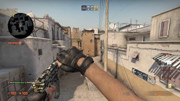 CS:GO Standing Xbox Cat Smoke *New Dust 2*