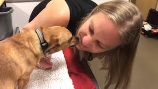 Thank You for Helping Dixie! by AshevilleHumane 171 views 4 years ago 1 minute, 23 seconds