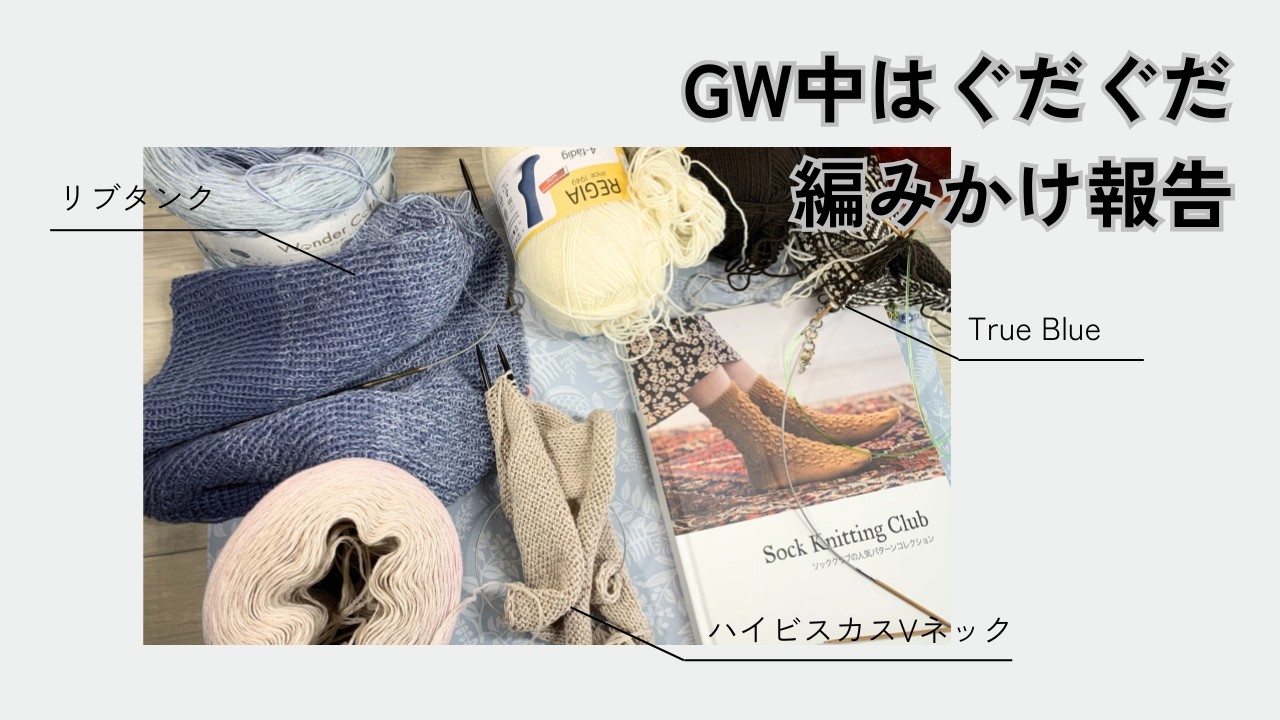 GW中はぐだぐだ 編みかけ報告【本日の手芸】today's handicraft