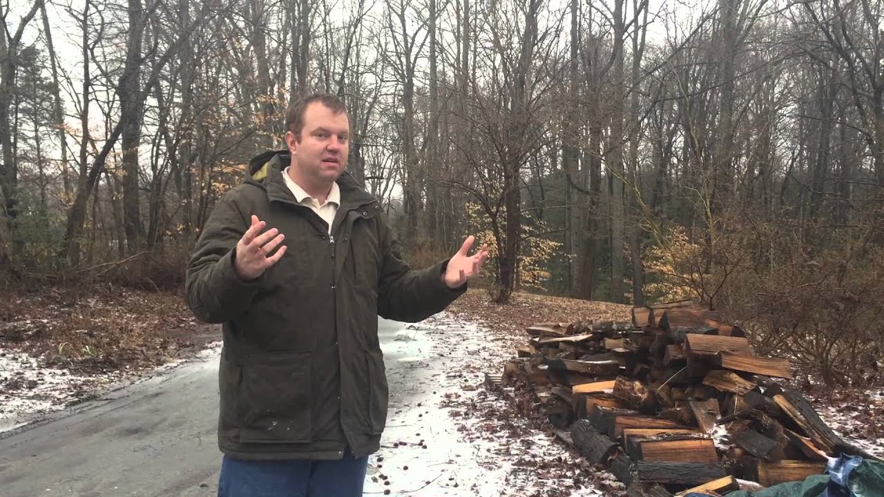 Firewood delivery in southern md YouTube