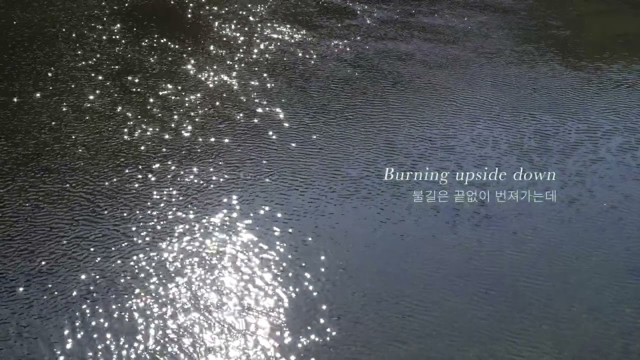 [M/V] The Dewy - Lily Pond (feat. sannie)