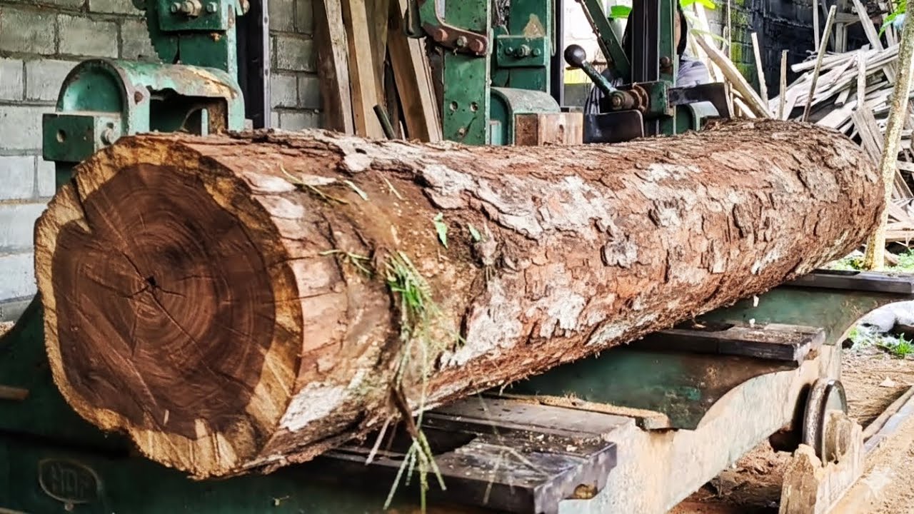 the process from start to finish of sawing and processing raw wood into ...