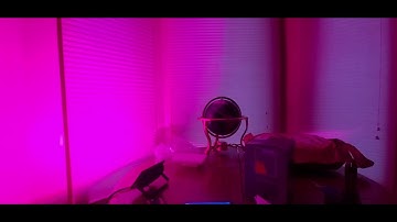 THE BEST SMART RGB FLOOD LIGHTS WIFI ALEXA PESKEN ( EPISODE 3436 ) AMAZON UNBOXING VIDEO