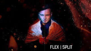 Flex SPLIT. Тайны мозга