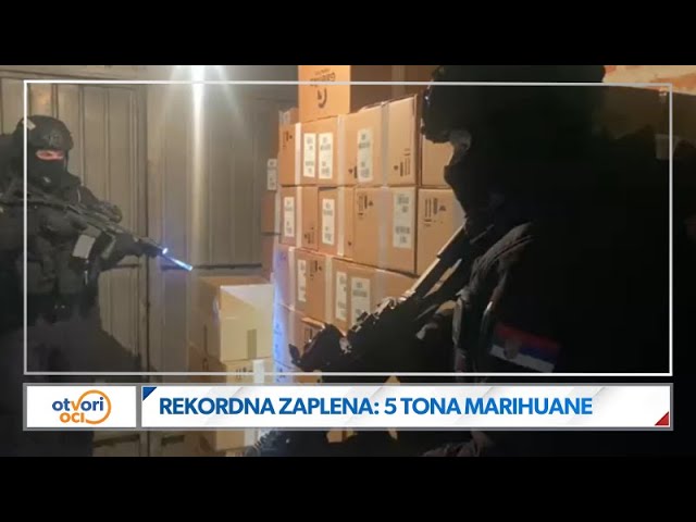 Kako će zaplena pet tona marihuane kod Kruševca uticati na lanac krijumčarenja droge?