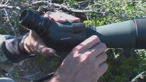 Spotting scopes: angled vs straight