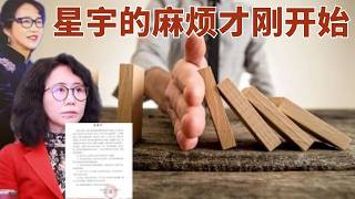 Easy to Punish, Hard to Restore Trust: The Supply Chain Compliance Crisis Behind the Xingyu Co. L...